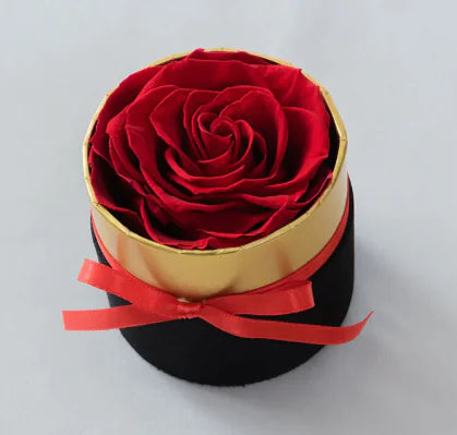 Dried Flower Pot