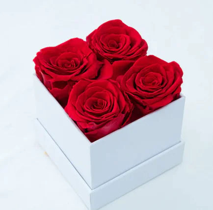 Dried Flower Pot